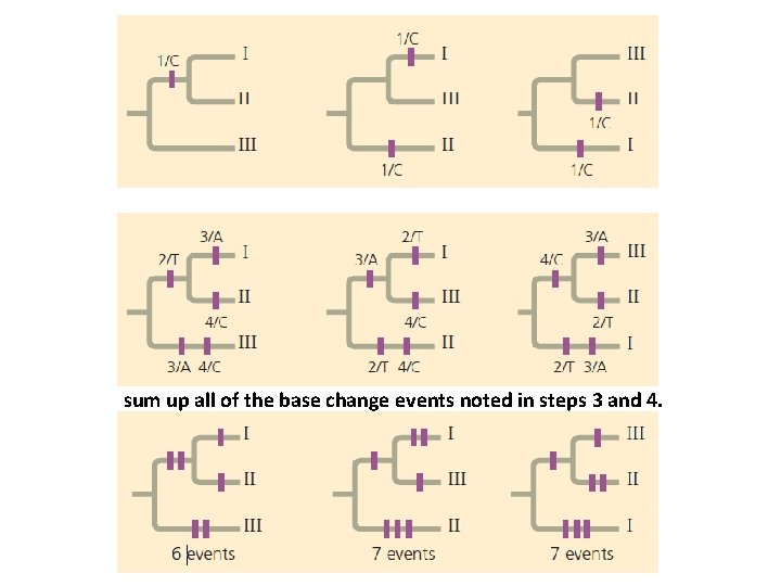 sum up all of the base change events noted in steps 3 and 4.