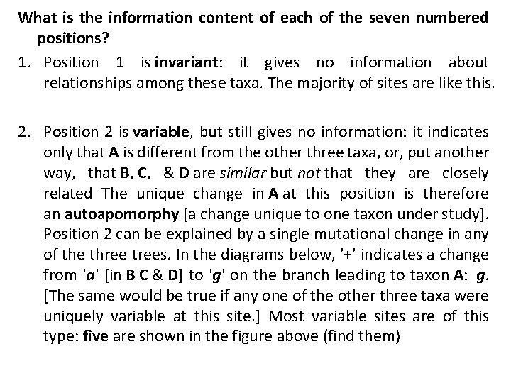 What is the information content of each of the seven numbered positions? 1. Position