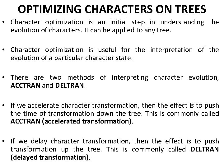 OPTIMIZING CHARACTERS ON TREES • Character optimization is an initial step in understanding the