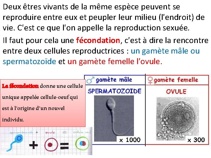 Deux êtres vivants de la même espèce peuvent se reproduire entre eux et peupler