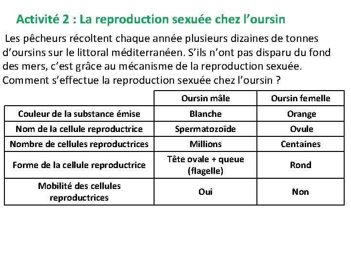 Activité 2 : La reproduction sexuée chez l’oursin Les pêcheurs récoltent chaque année plusieurs