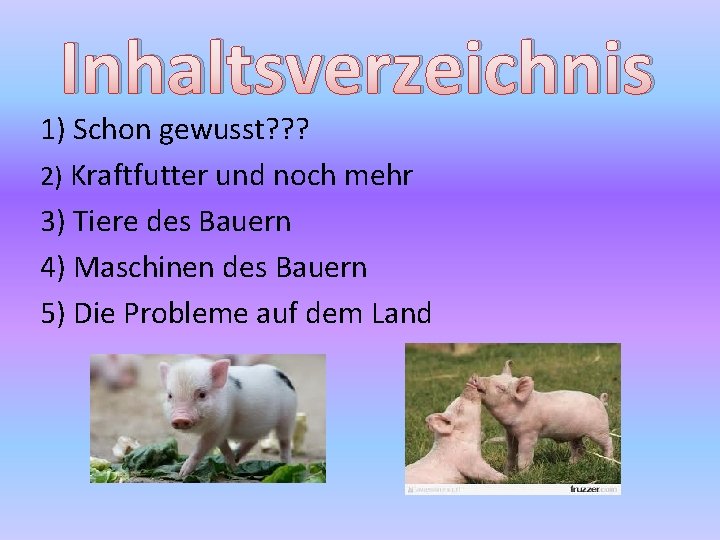 Inhaltsverzeichnis 1) Schon gewusst? ? ? 2) Kraftfutter und noch mehr 3) Tiere des