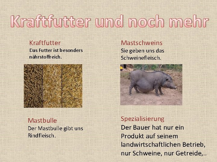 Kraftfutter und noch mehr Kraftfutter Mastschweins Mastbulle Spezialisierung Der Bauer hat nur ein Produkt