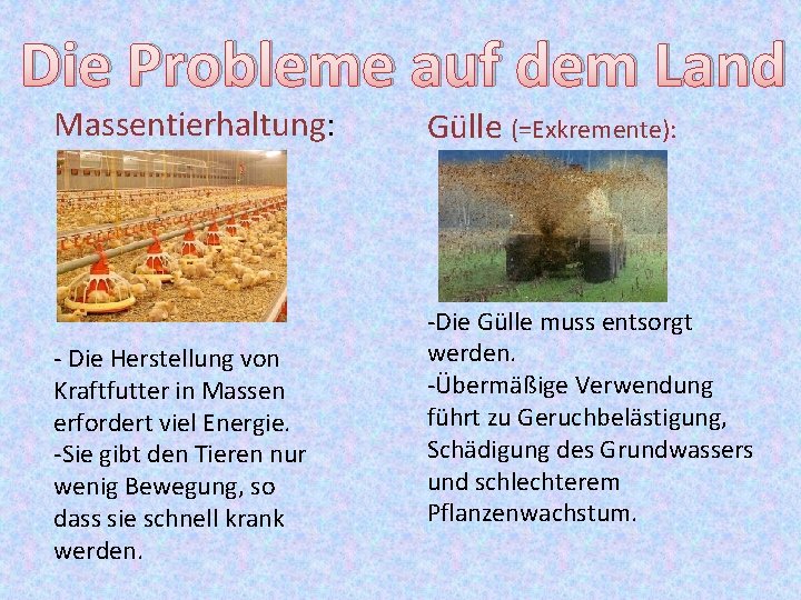 Die Probleme auf dem Land Massentierhaltung: - Die Herstellung von Kraftfutter in Massen erfordert