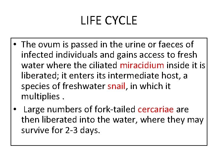 LIFE CYCLE • The ovum is passed in the urine or faeces of infected