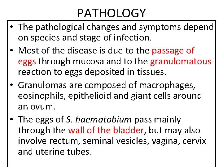 PATHOLOGY • The pathological changes and symptoms depend on species and stage of infection.