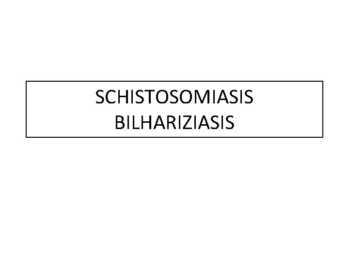 SCHISTOSOMIASIS BILHARIZIASIS 