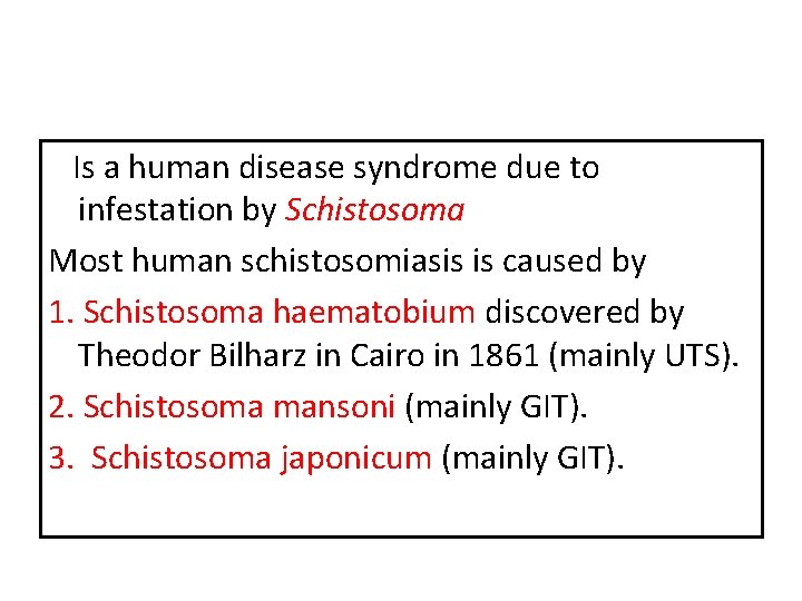 Is a human disease syndrome due to infestation by Schistosoma Most human schistosomiasis is