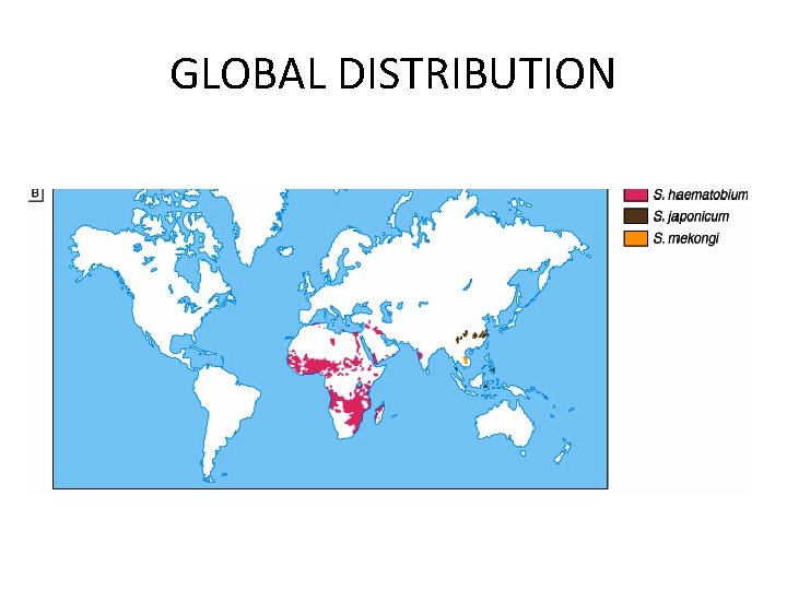 GLOBAL DISTRIBUTION 