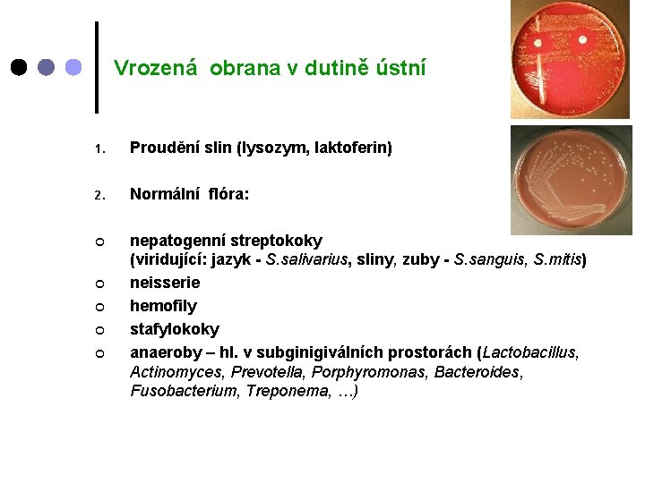 Vrozená obrana v dutině ústní 1. Proudění slin (lysozym, laktoferin) 2. Normální flóra: ¢