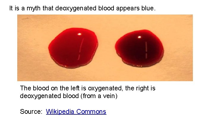 It is a myth that deoxygenated blood appears blue. The blood on the left