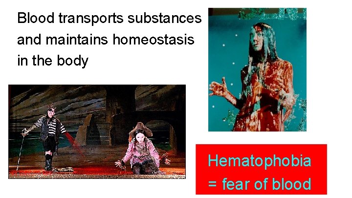 Blood transports substances and maintains homeostasis in the body Hematophobia = fear of blood