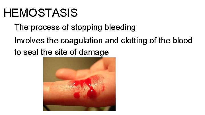 HEMOSTASIS The process of stopping bleeding Involves the coagulation and clotting of the blood