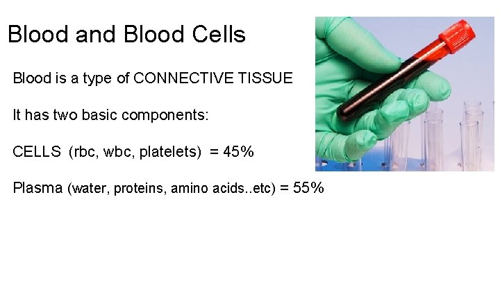 Blood and Blood Cells Blood is a type of CONNECTIVE TISSUE It has two