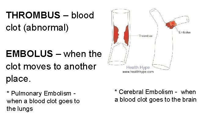 THROMBUS – blood clot (abnormal) EMBOLUS – when the clot moves to another place.