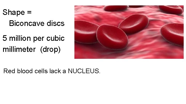 Shape = Biconcave discs 5 million per cubic millimeter (drop) Red blood cells lack
