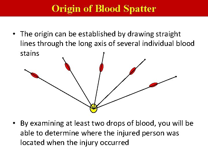 Origin of Blood Spatter • The origin can be established by drawing straight lines