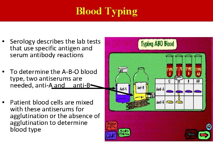 Blood Typing • Serology describes the lab tests that use specific antigen and serum
