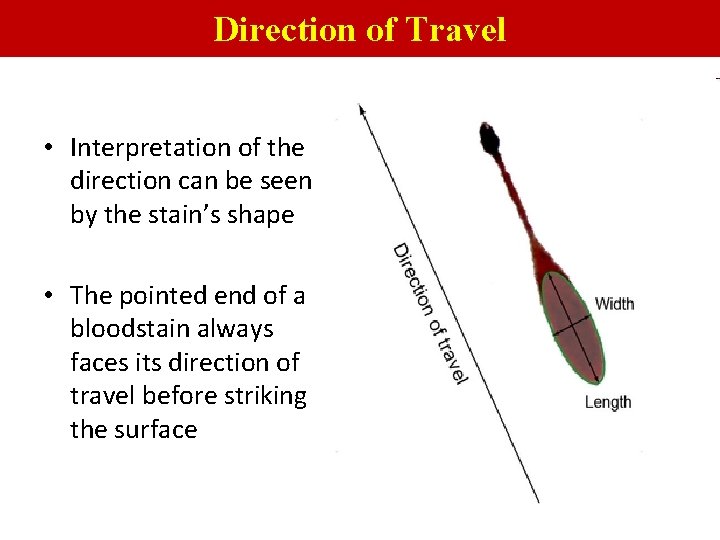 Direction of Travel • Interpretation of the direction can be seen by the stain’s