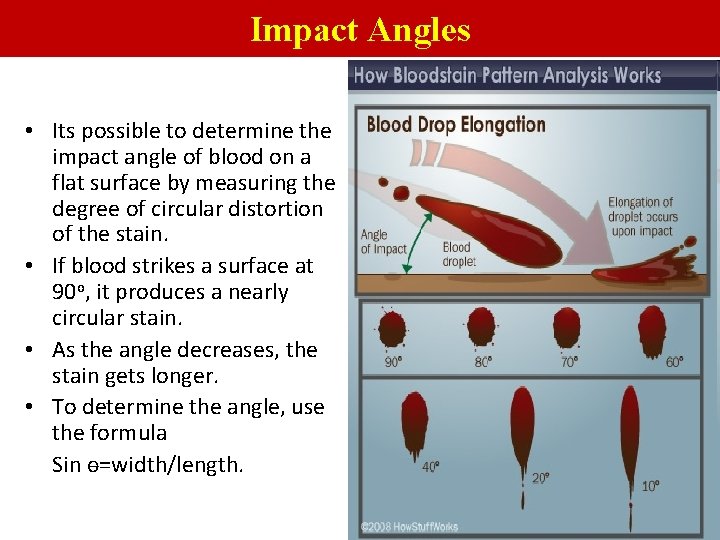 Impact Angles • Its possible to determine the impact angle of blood on a