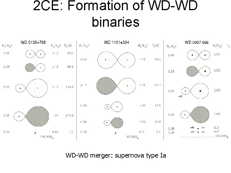 2 CE: Formation of WD-WD binaries WD-WD merger: supernova type Ia 