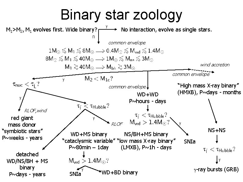 Binary star zoology M 1>M 2, M 1 evolves first. Wide binary? y No