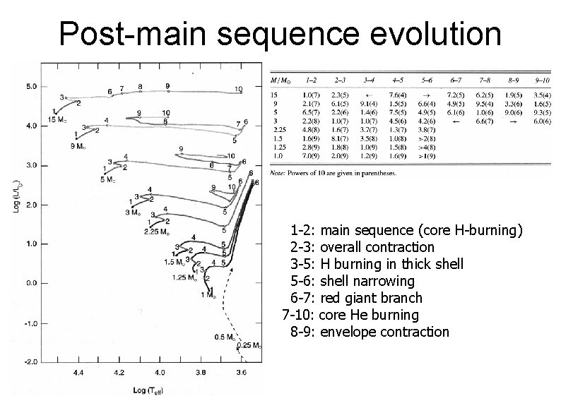 Post-main sequence evolution 1 -2: main sequence (core H-burning) 2 -3: overall contraction 3