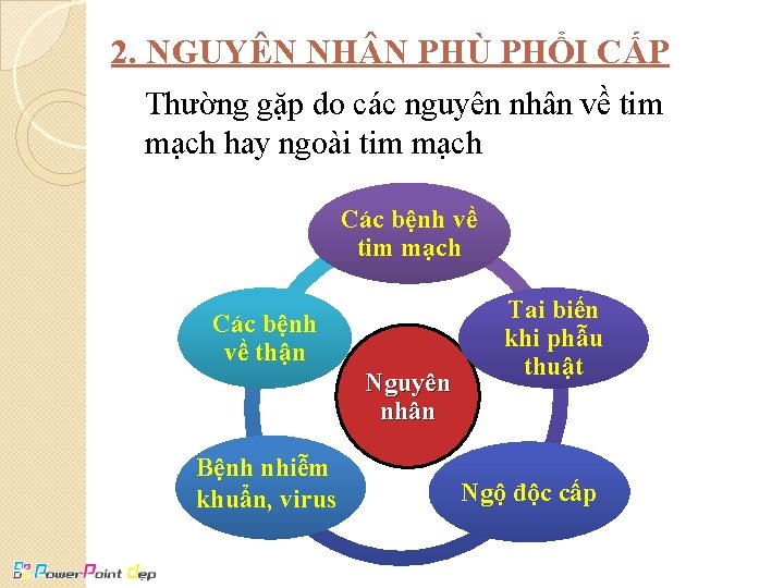 2. NGUYÊN NH N PHÙ PHỔI CẤP Thường gặp do các nguyên nhân về