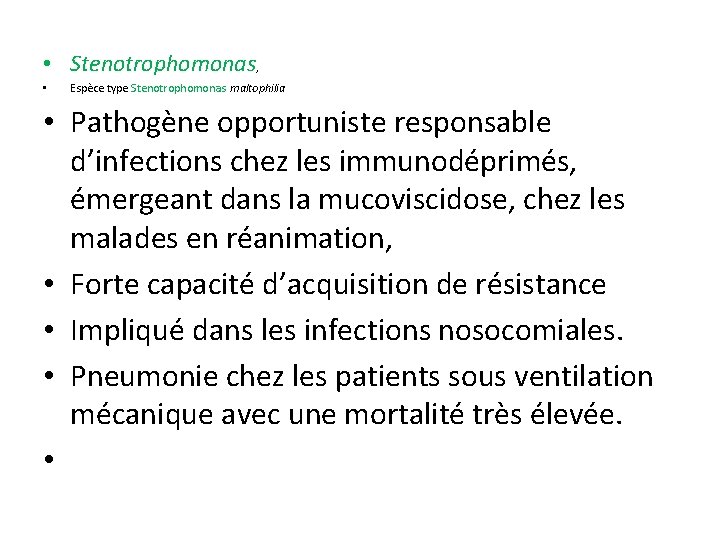  • Stenotrophomonas, • Espèce type Stenotrophomonas maltophilia • Pathogène opportuniste responsable d’infections chez