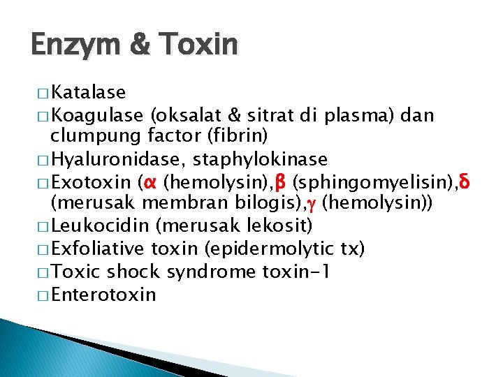 Enzym & Toxin � Katalase � Koagulase (oksalat & sitrat di plasma) dan clumpung