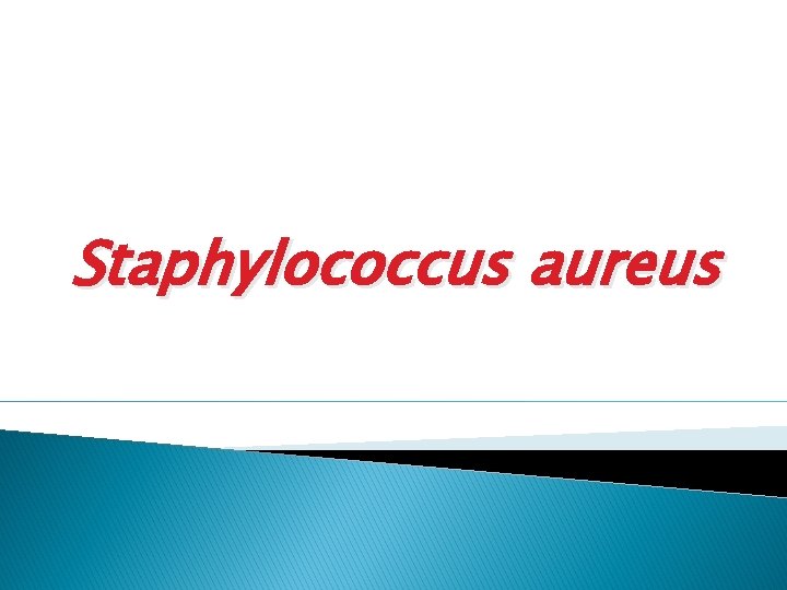 Staphylococcus aureus 