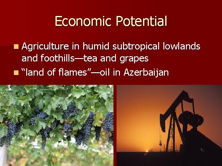 Economic Potential n Agriculture in humid subtropical lowlands and foothills—tea and grapes n “land