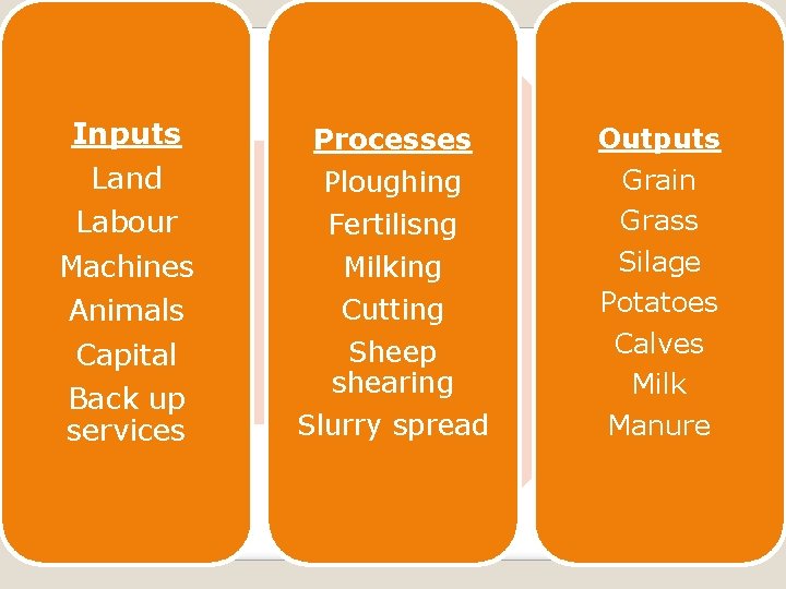 Inputs Land Labour Machines Animals Capital Back up services Processes Ploughing Fertilisng Milking Cutting