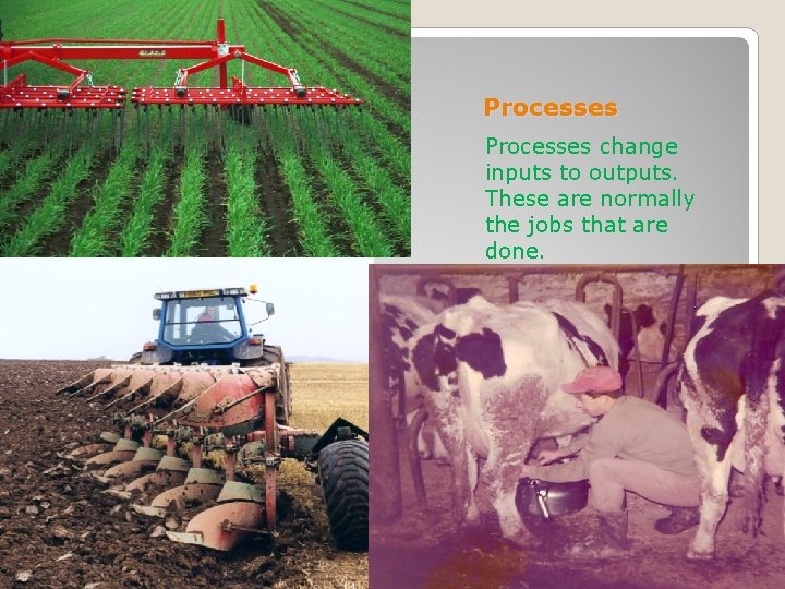 Processes change inputs to outputs. These are normally the jobs that are done. 