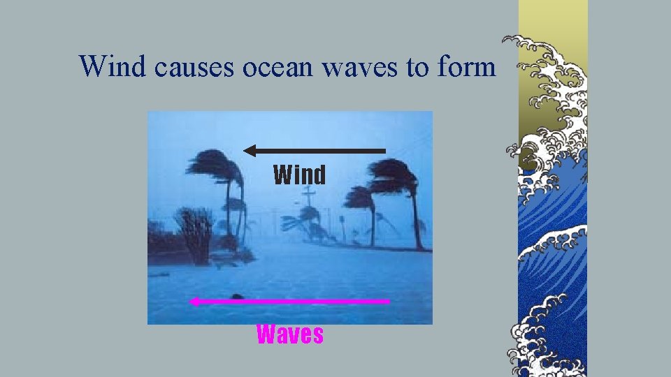 Wind causes ocean waves to form Wind Waves 