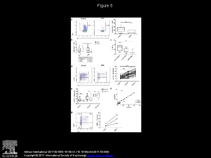 Figure 5 Kidney International 2017 921003 -1014 DOI: (10. 1016/j. kint. 2017. 036) Copyright