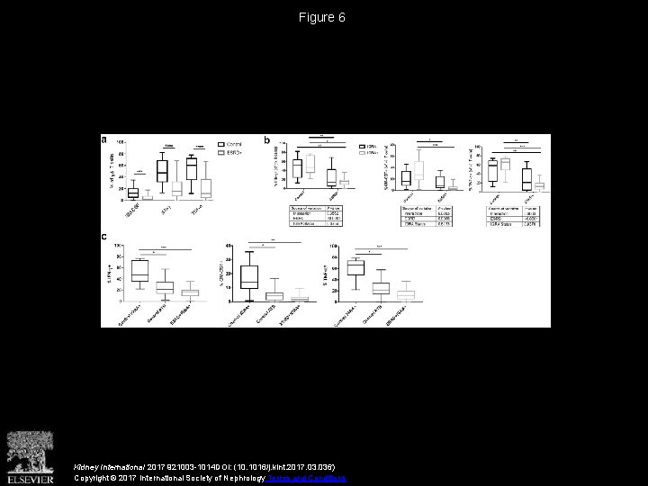 Figure 6 Kidney International 2017 921003 -1014 DOI: (10. 1016/j. kint. 2017. 036) Copyright