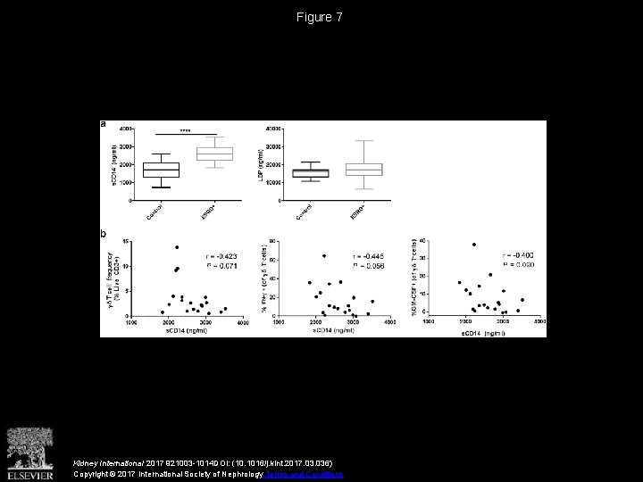 Figure 7 Kidney International 2017 921003 -1014 DOI: (10. 1016/j. kint. 2017. 036) Copyright