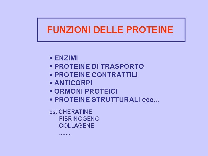 FUNZIONI DELLE PROTEINE § ENZIMI § PROTEINE DI TRASPORTO § PROTEINE CONTRATTILI § ANTICORPI