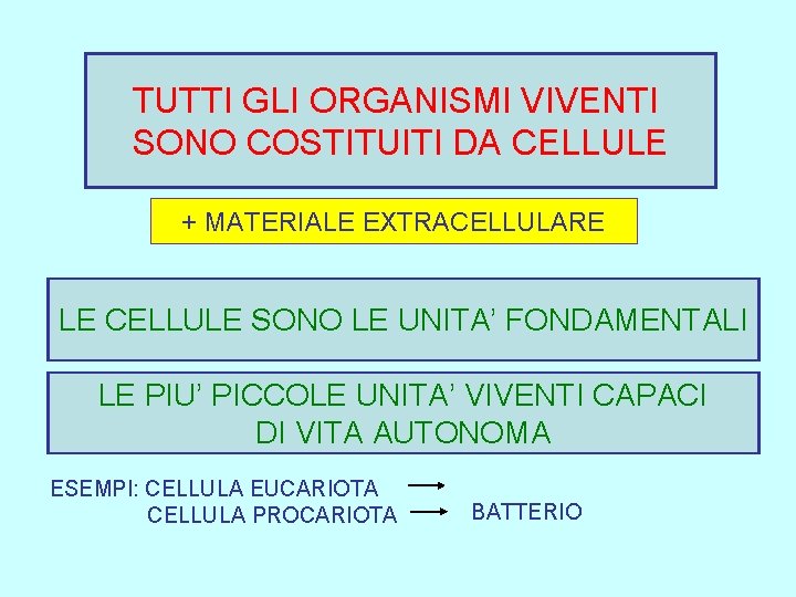 TUTTI GLI ORGANISMI VIVENTI SONO COSTITUITI DA CELLULE + MATERIALE EXTRACELLULARE LE CELLULE SONO