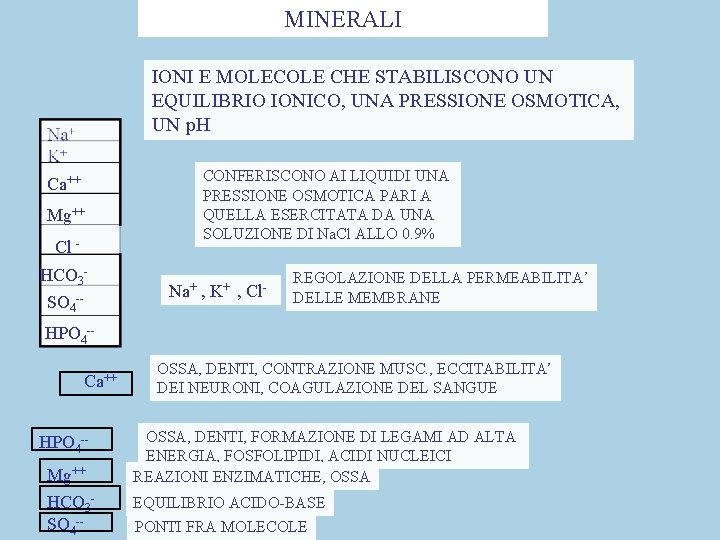 MINERALI IONI E MOLECOLE CHE STABILISCONO UN EQUILIBRIO IONICO, UNA PRESSIONE OSMOTICA, UN p.