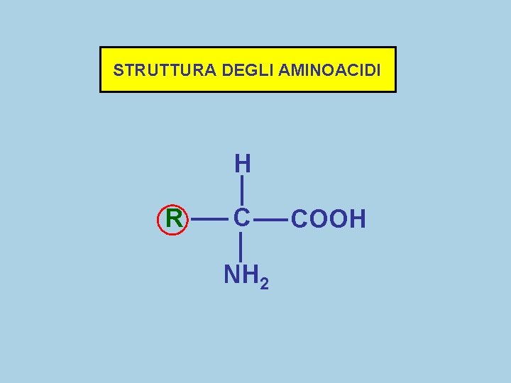 STRUTTURA DEGLI AMINOACIDI H R C NH 2 COOH 