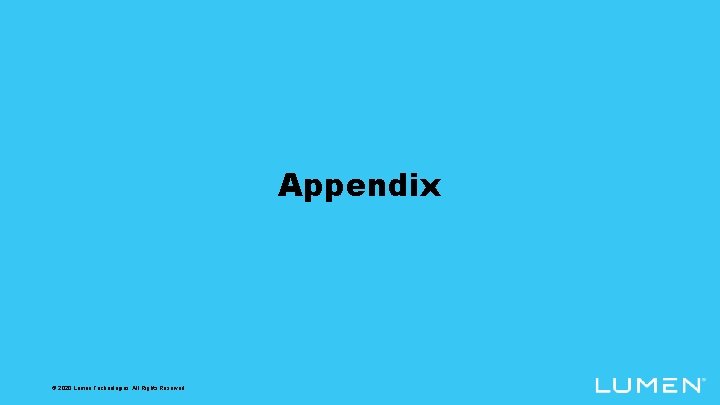 Appendix © 2020 Lumen Technologies. All Rights Reserved. 