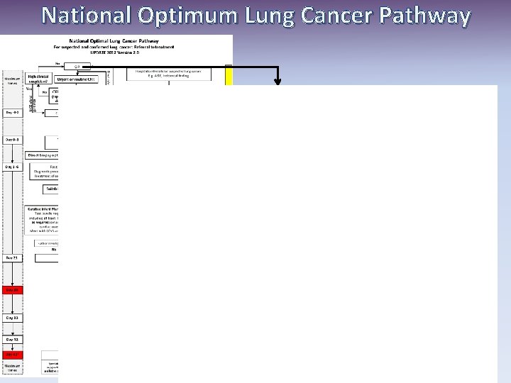 National Optimum Lung Cancer Pathway 