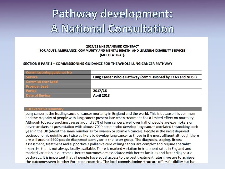 Pathway development: A National Consultation 