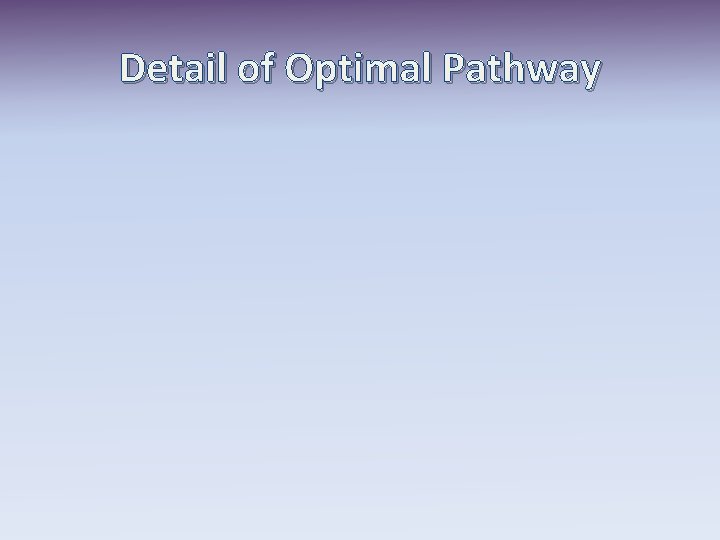 Detail of Optimal Pathway 