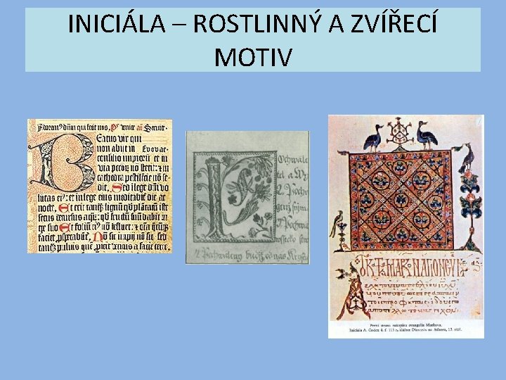 INICIÁLA – ROSTLINNÝ A ZVÍŘECÍ MOTIV 