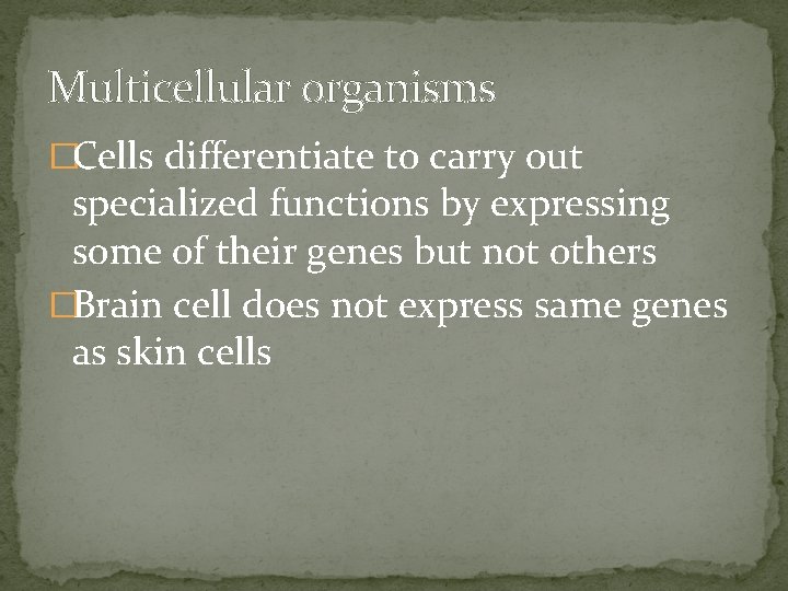 Multicellular organisms �Cells differentiate to carry out specialized functions by expressing some of their
