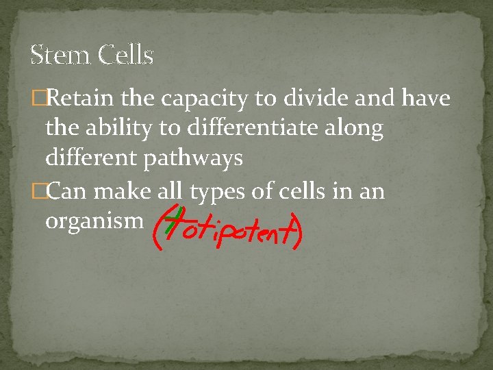 Stem Cells �Retain the capacity to divide and have the ability to differentiate along