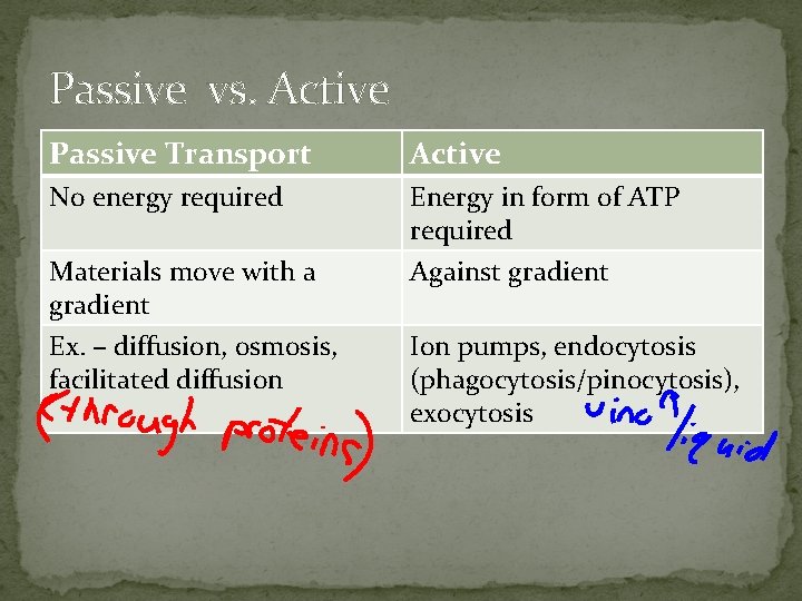 Passive vs. Active Passive Transport Active No energy required Energy in form of ATP